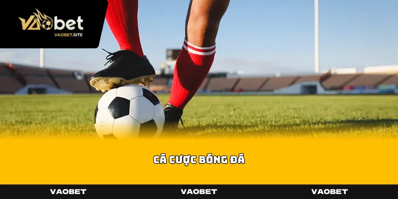 Cá Cược Bóng Đá