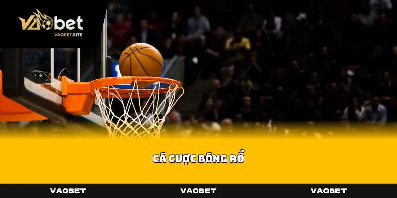 Cá Cược Bóng Rổ
