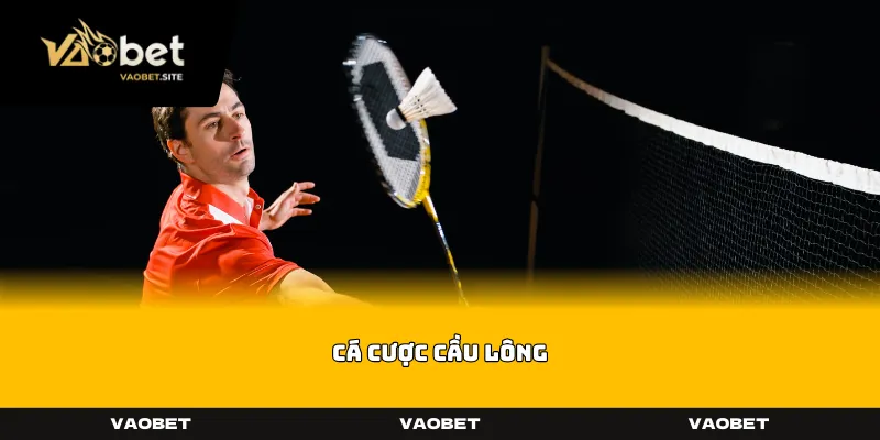 Cá Cược Cầu Lông