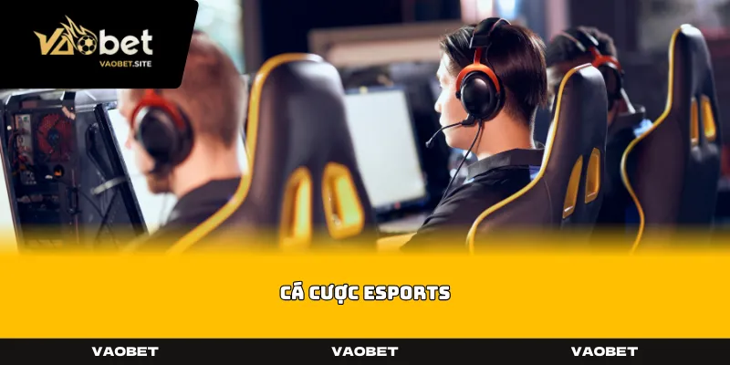 ca cuoc esports