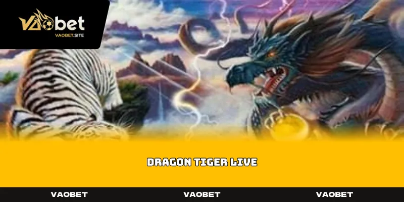 dragon tiger live