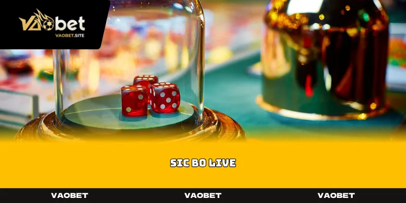 sic bo live